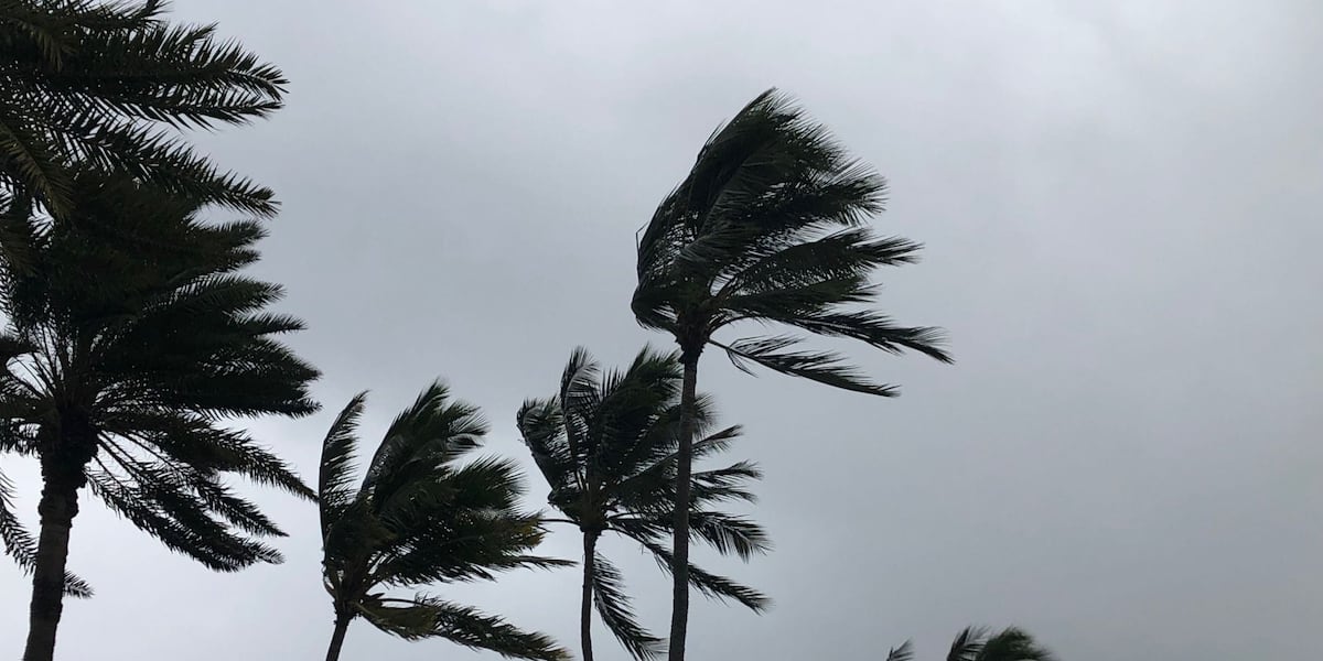Wind advisory posted for most islands as gusty trades increase