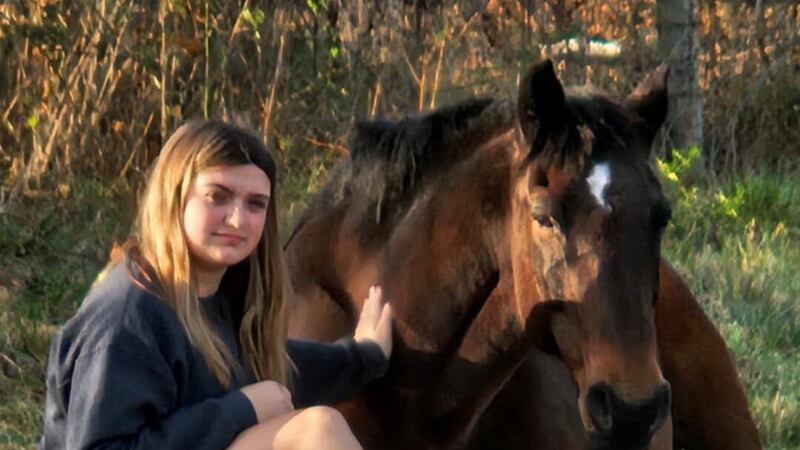 A woman found her horse dead in her field less than a week before Christmas.