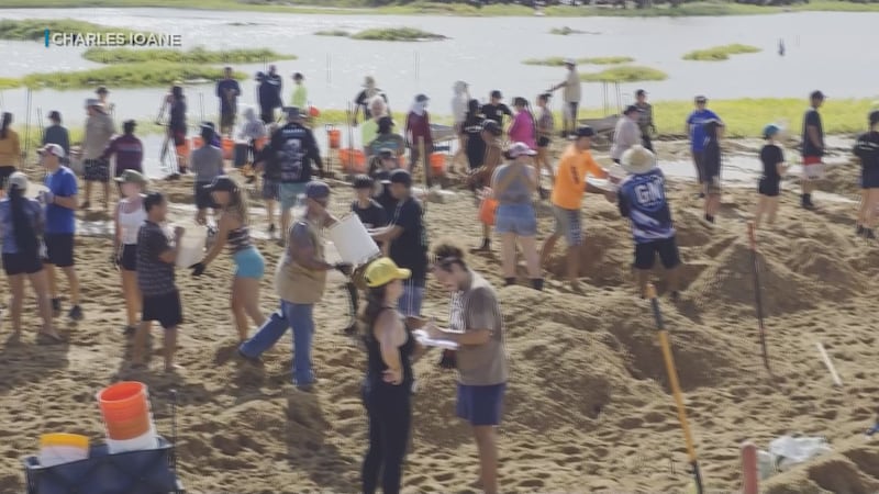 Hundreds of volunteers helped clear storm-pushed sand from Salt Pond Beach Park and its salt...