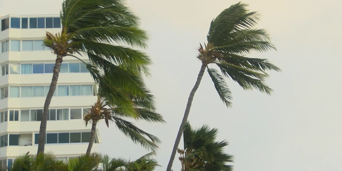 Residents watch Hawaii's coast as Hurricane Lowell strengthens to Category 4
