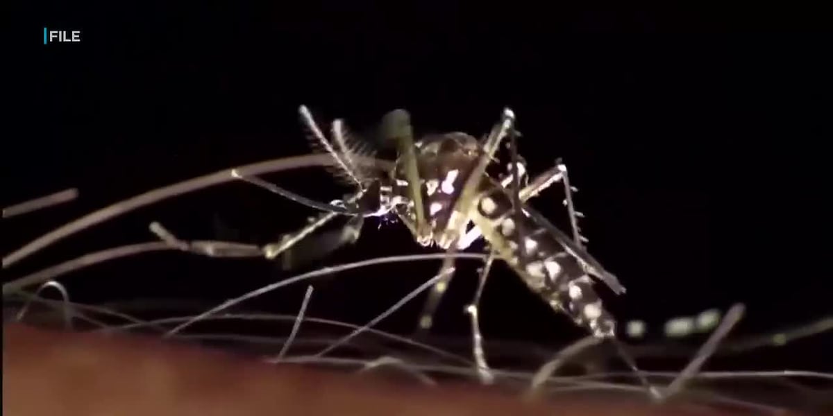 Health officials confirm travel-related Zika virus on Oahu