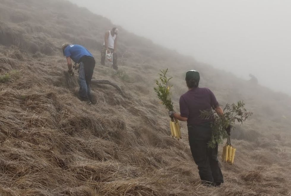 Courtesy: Kirsten Gallaher