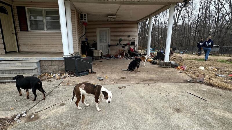 Donations are needed for dogs that were found surrounded by skulls and bones.