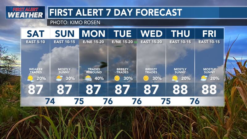 HNN Weather 10/11/24