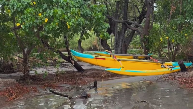 A West Maui nonprofit that teaches ocean safety to keiki is facing about $30,000 in damage to...
