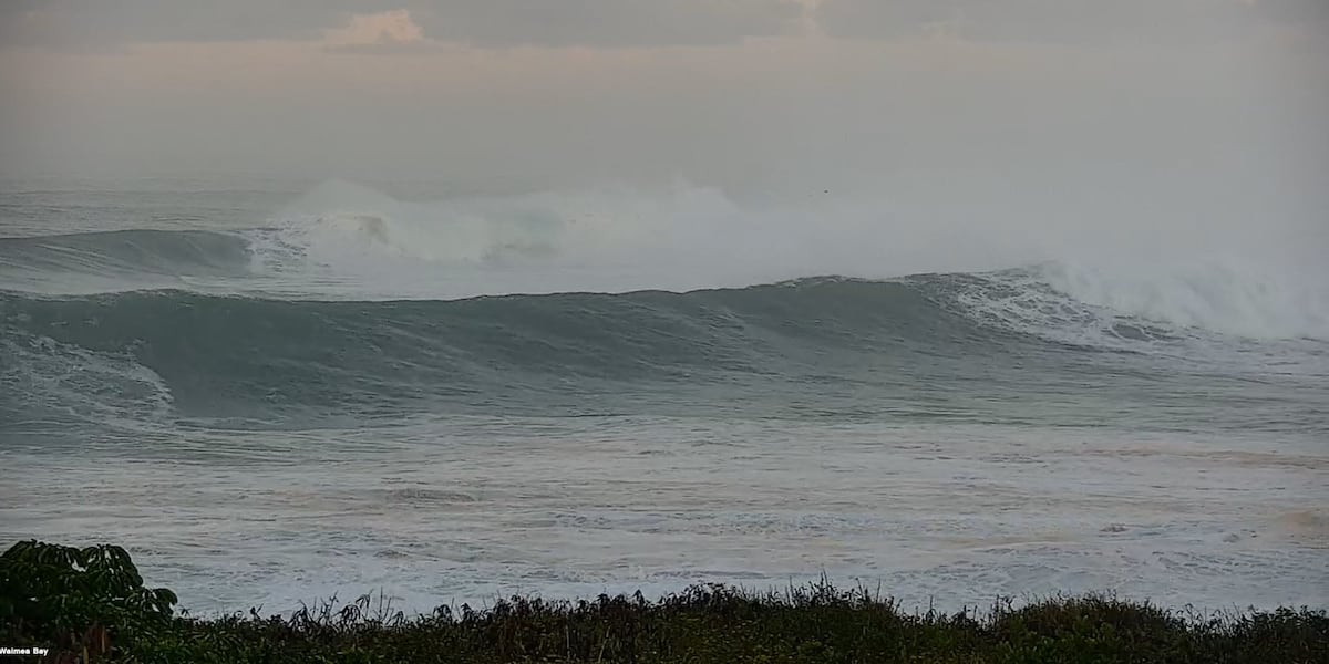 First Alert Weather: High surf warning issued for most north, west shores