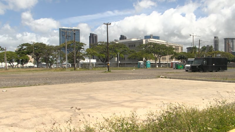 The chair of the Office of Hawaiian Affairs said House leaders nixed every bill the agency...