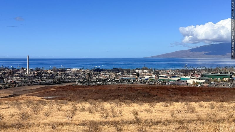 FEMA and Safeway are partnering for a unique opportunity with the goal of helping Maui...