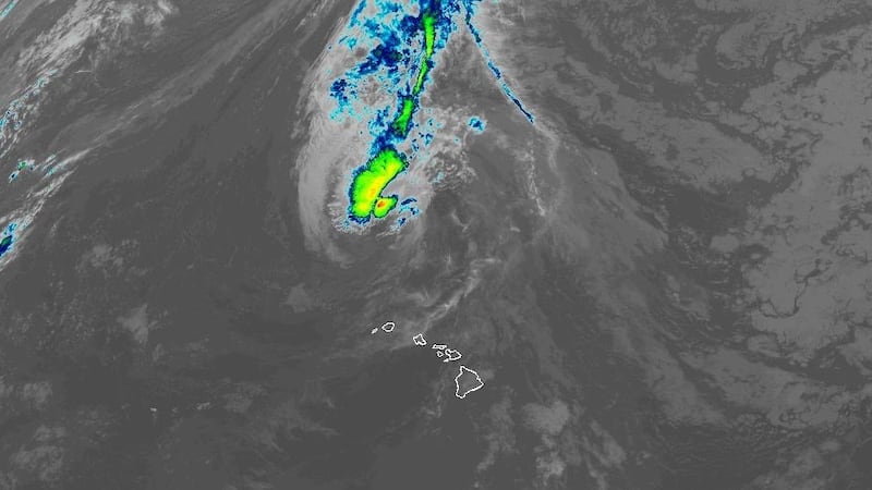 Exploding Tree Warnng Man killed by fallen tree in Waimanalo as Hurricane Lowell passes ...