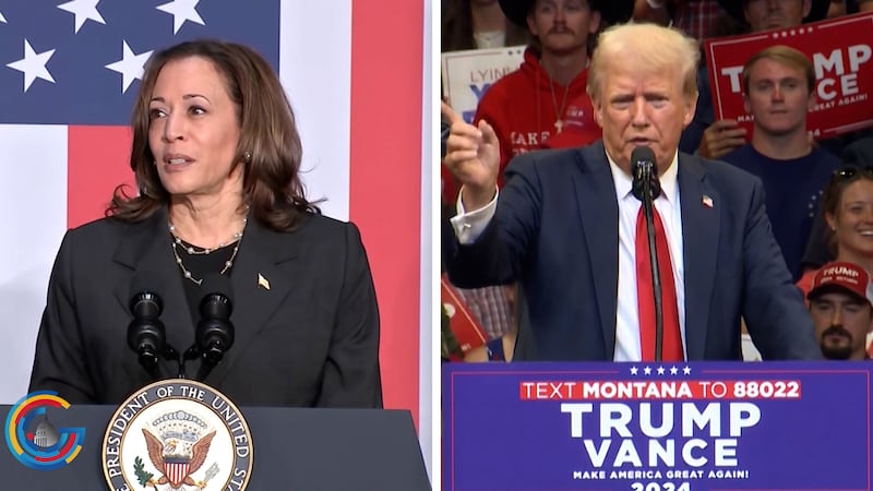 Voters react to presidential candidates