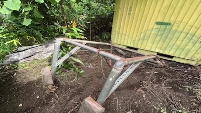 Sometime on Christmas day or night, the Kuamo’o Legacy Foundation’s farm in Kapoho was hit...