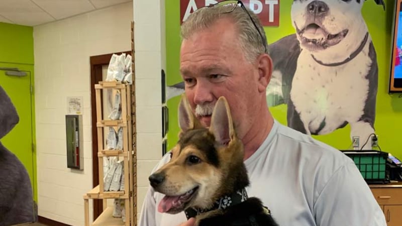 North Charleston Fire Capt. Paul Bryant and Rocky. (Source: Live 5)