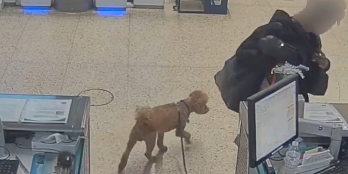 Woman accused of abandoning her dog at the airport, police say