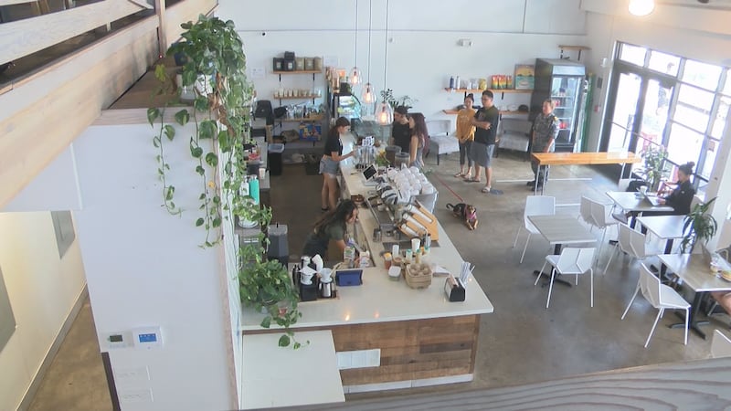 Morning Brew at SALT at Our Kakaako