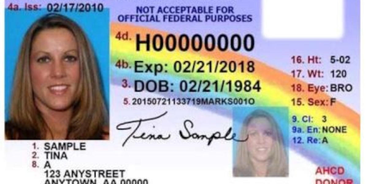 440 License New driver's license could put 40K more residents behind the wheel