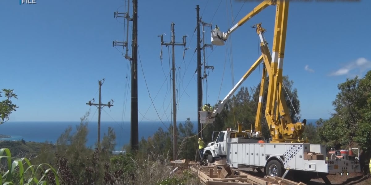 Power outages impact 179K across Hawaii after Lala damages grid lines - Hawaii News Now