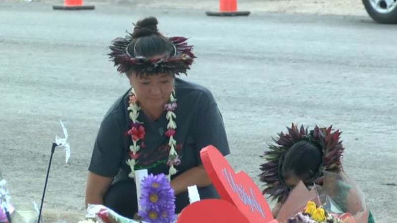 Lei of Aloha volunteers traveled to this small community on Friday to visit the growing...
