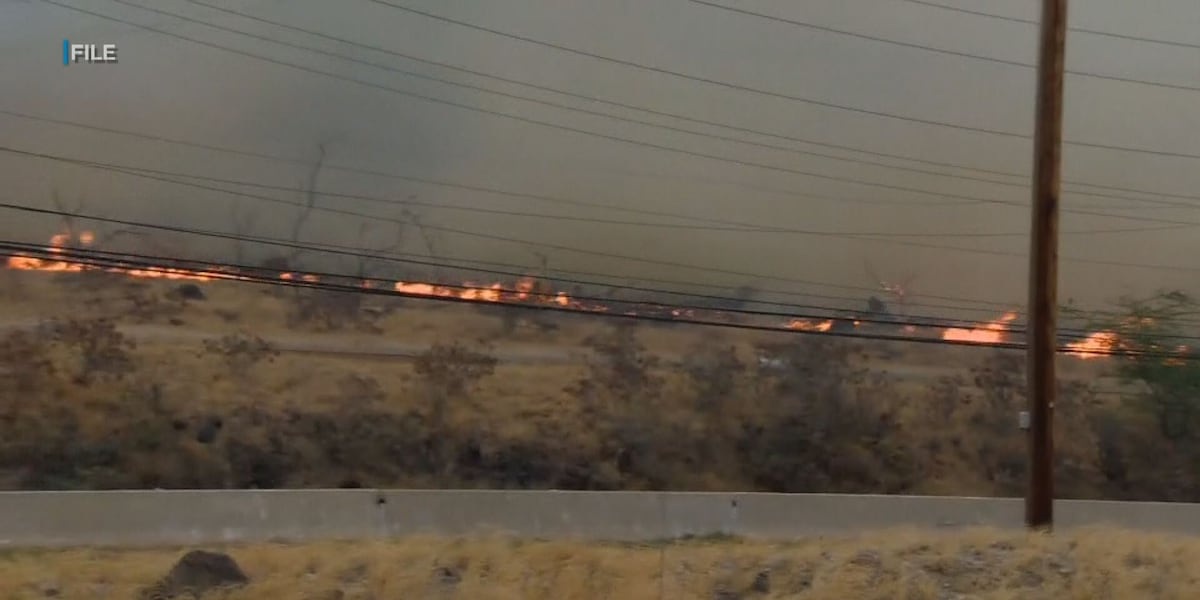 Strong trade winds could lead to elevated fire danger beginning next week