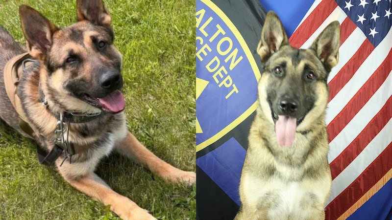 K-9 Odin was initially taken to a veterinary hospital in critical condition, but the dog later...