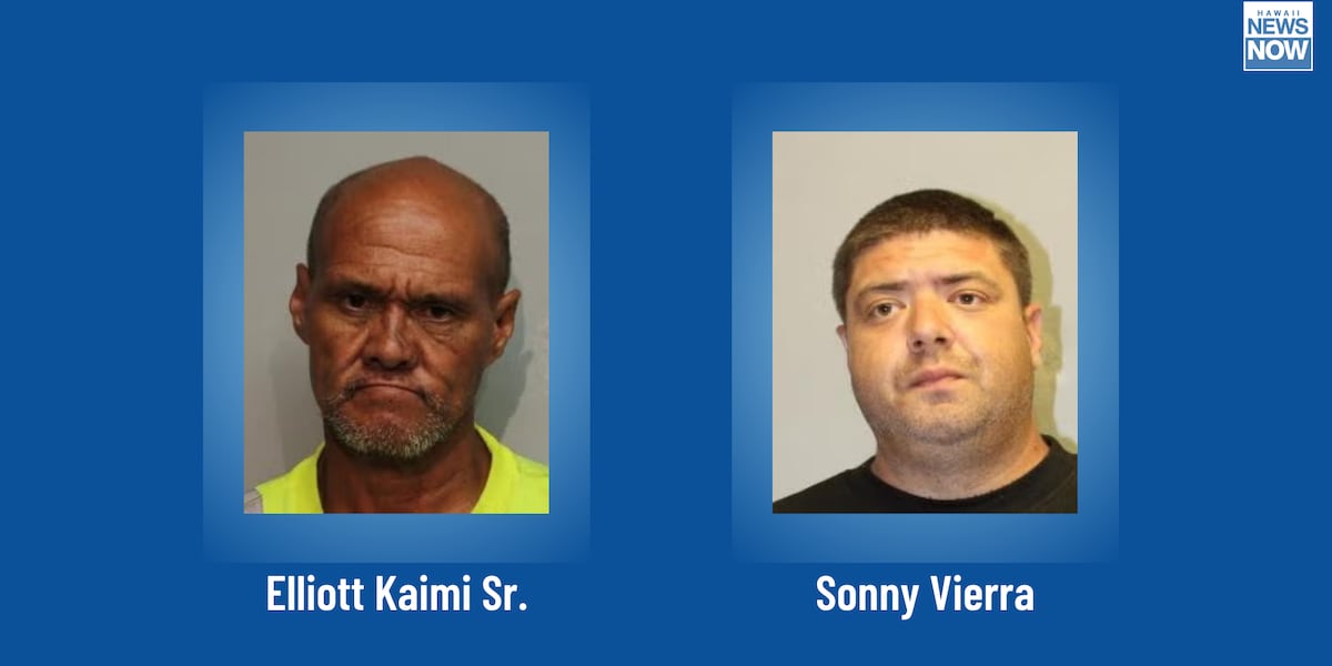 Police arrest, charge two Hilo men in credit card theft investigation