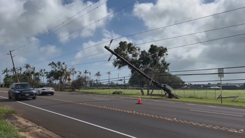 Hurricane Lowell pushes powerlines in Lihue, Kauai.