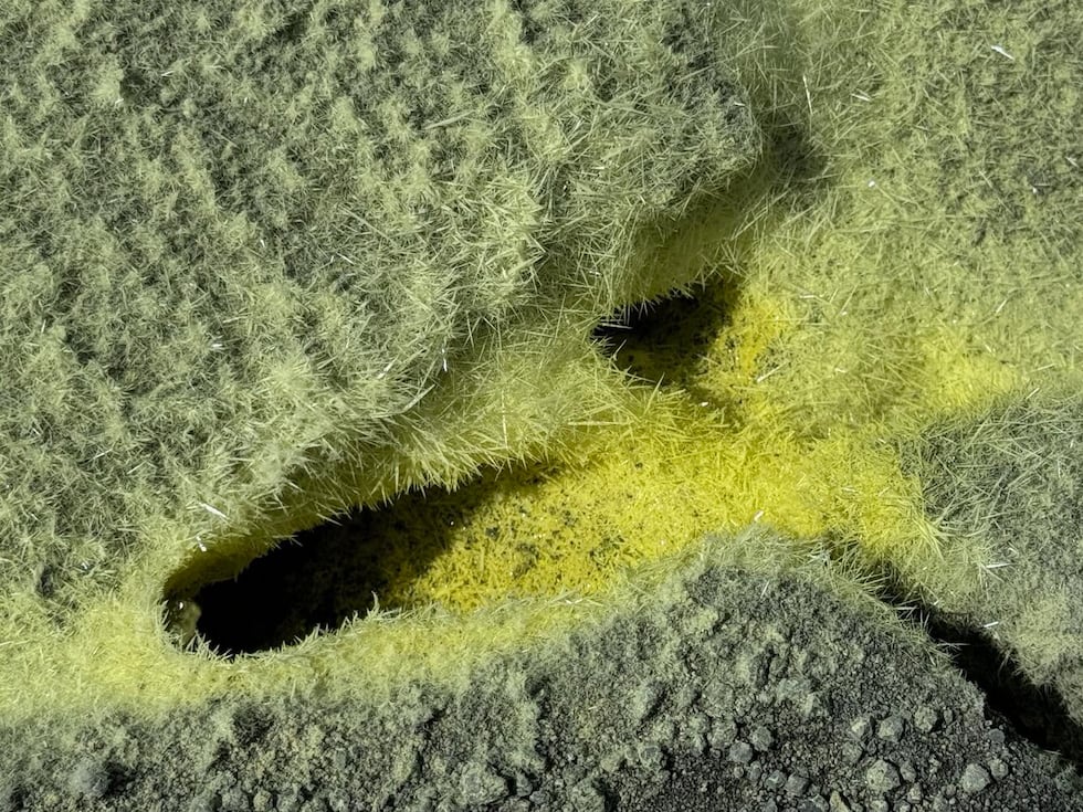 A close up view of delicate sulfur crystals in one of the cracks near the June 3 eruption...
