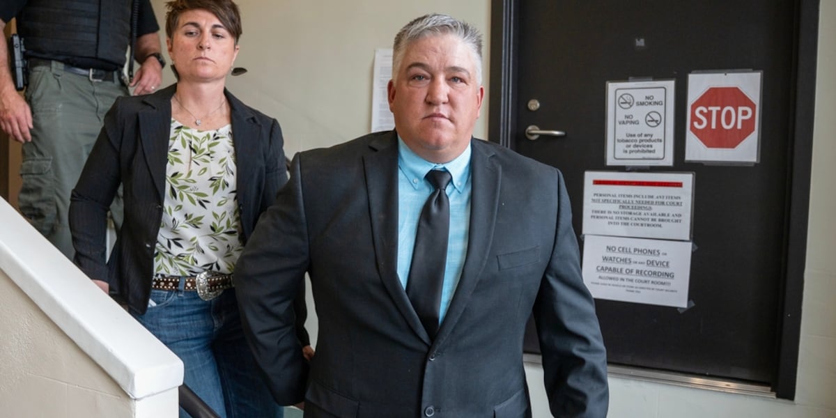 Man gets probation for hitting wolf with snowmobile, bringing it into bar with mouth taped shut before killing it