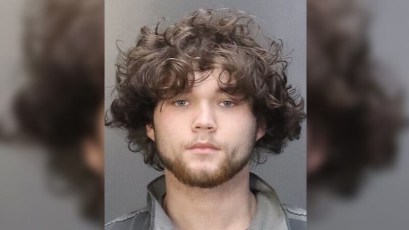 Brandon Michael Davis, 18, is charged with murder after authorities say he shot and killed a...