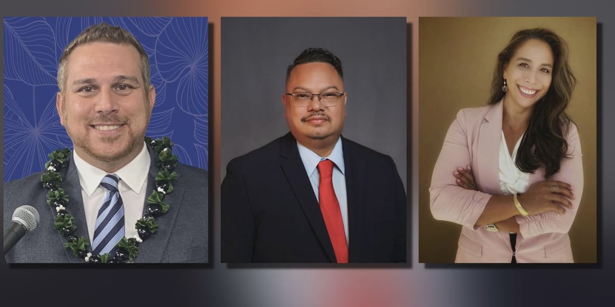 Hawaii Republican Party announces nominees to fill vacant House seat