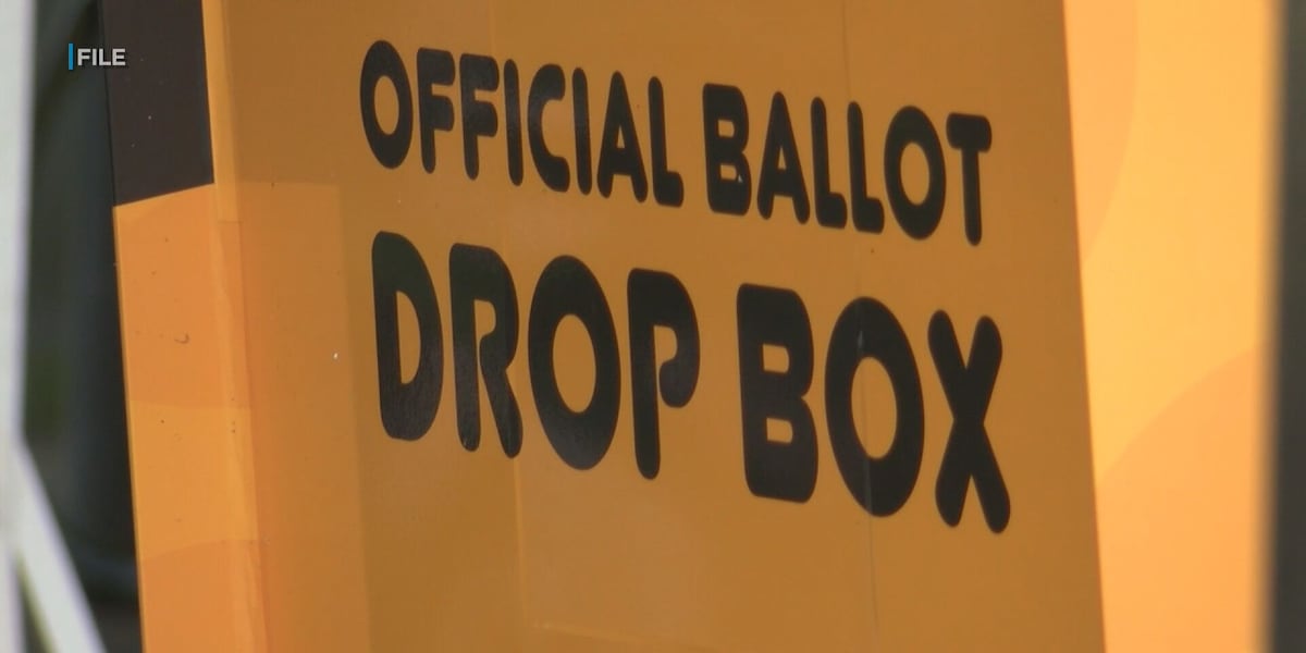 What to know about Hawaii’s primary election: Ballots, voting centers, results