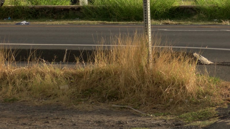 It's not even June, and already concerns about dry conditions and wildfires are rising.