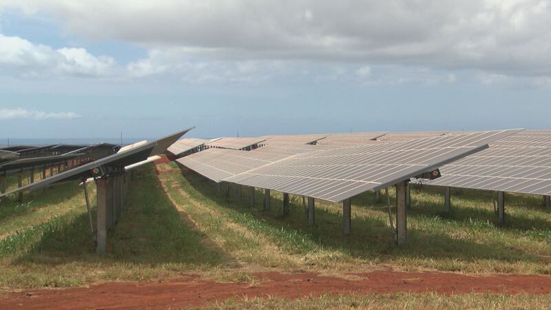 The plant takes up 131 acres.