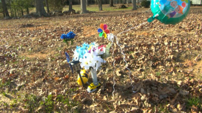 The 2-year-old was walking alone on Buffalo Shoals Road around 7:30 p.m. the night of Feb. 17,...