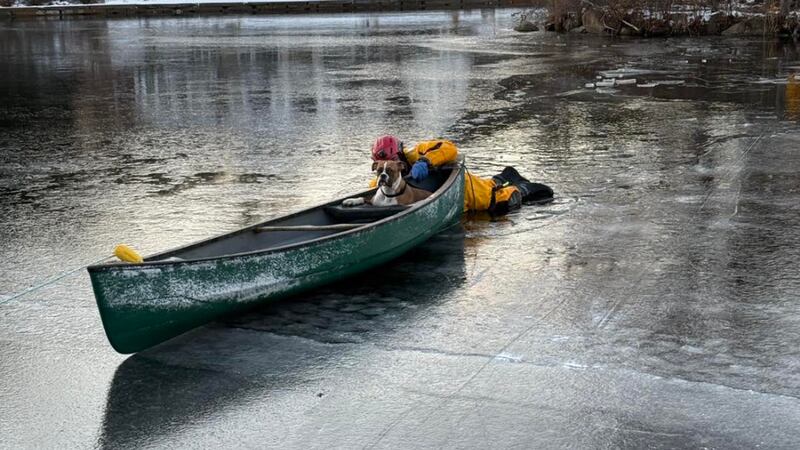 Firefighters in New Jersey responded to a unique call for help just days before Christmas.