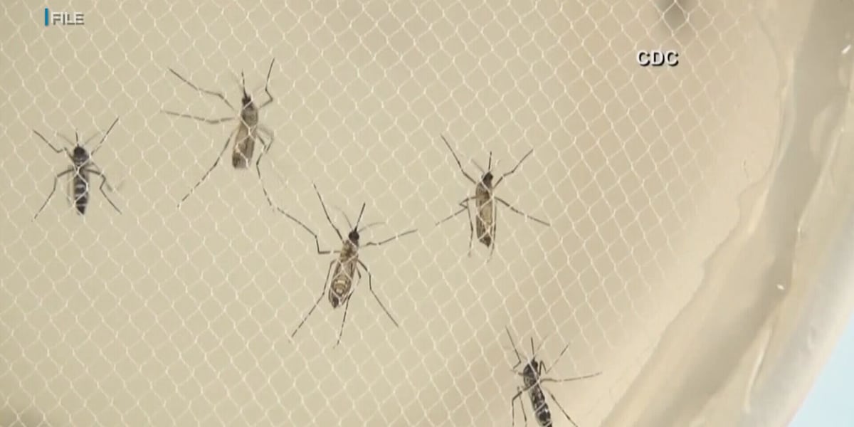 Department of Health reports new travel-related dengue case on Oahu