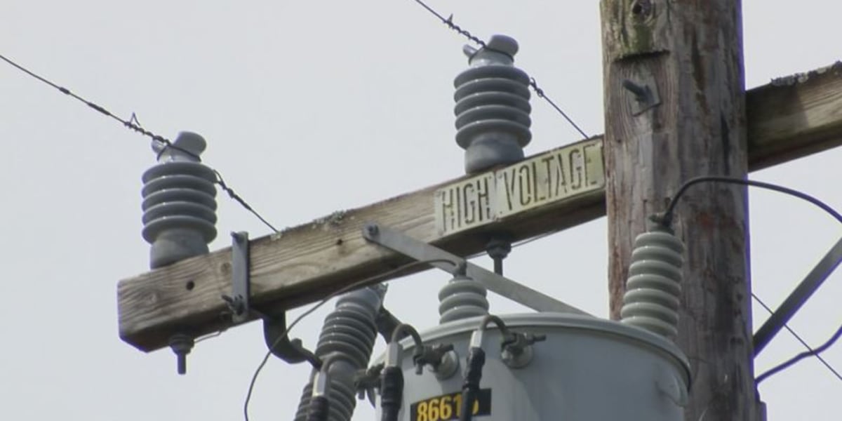 HECO activates Public Safety Power Shutoff for Upcountry Maui customers