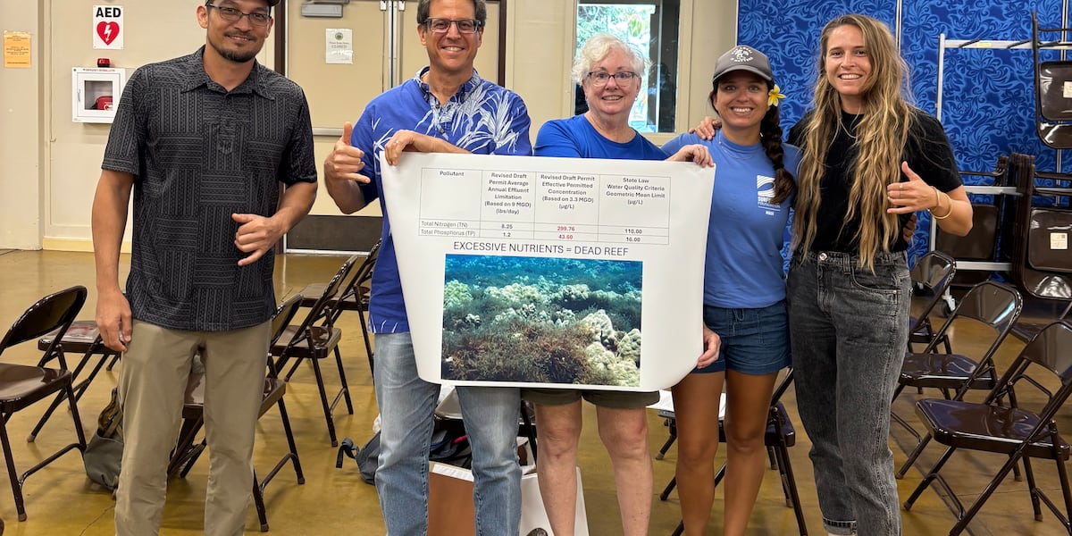 Environmental watchdogs tell state officials ‘try again’ for Lahaina pollution control permit