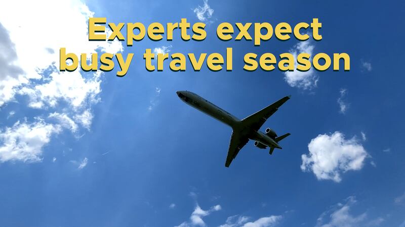 Experts expect busy travel season