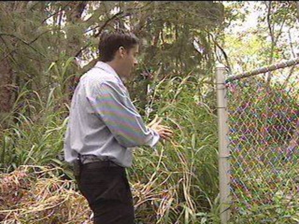 KHNL News 8's Paul Drewes demonstrates how easy it is to access the Sacred Falls trail