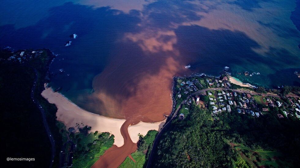Waimea Bay (Image: Bruno Lemos)