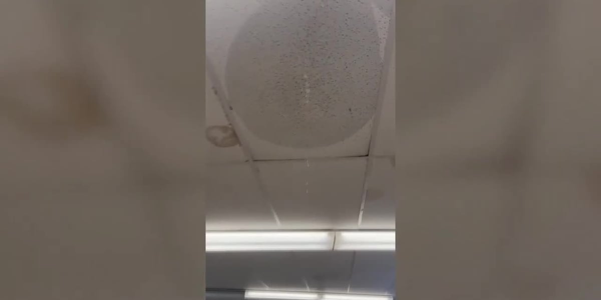Teachers say school needs permanent solutions to fix leaky pipes Teachers say school needs permanent solutions to fix leaky pipes