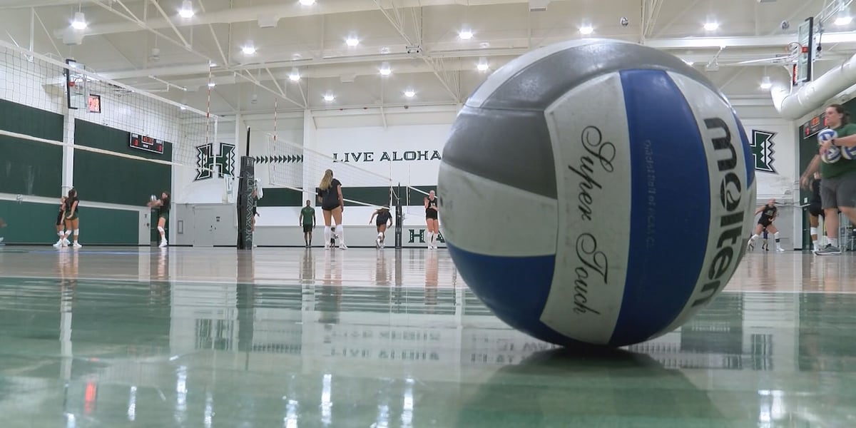 Coverage image for: New era of Rainbow Wahine volleyball begins as ‘Bows open fall camp