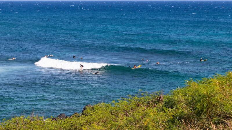 First Alert Forecast: Really nice trade wind weather with some sunshine and few showers