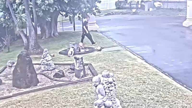 Jodo Mission of Hawaii Vandalized on June 2, and it was caught on camera.