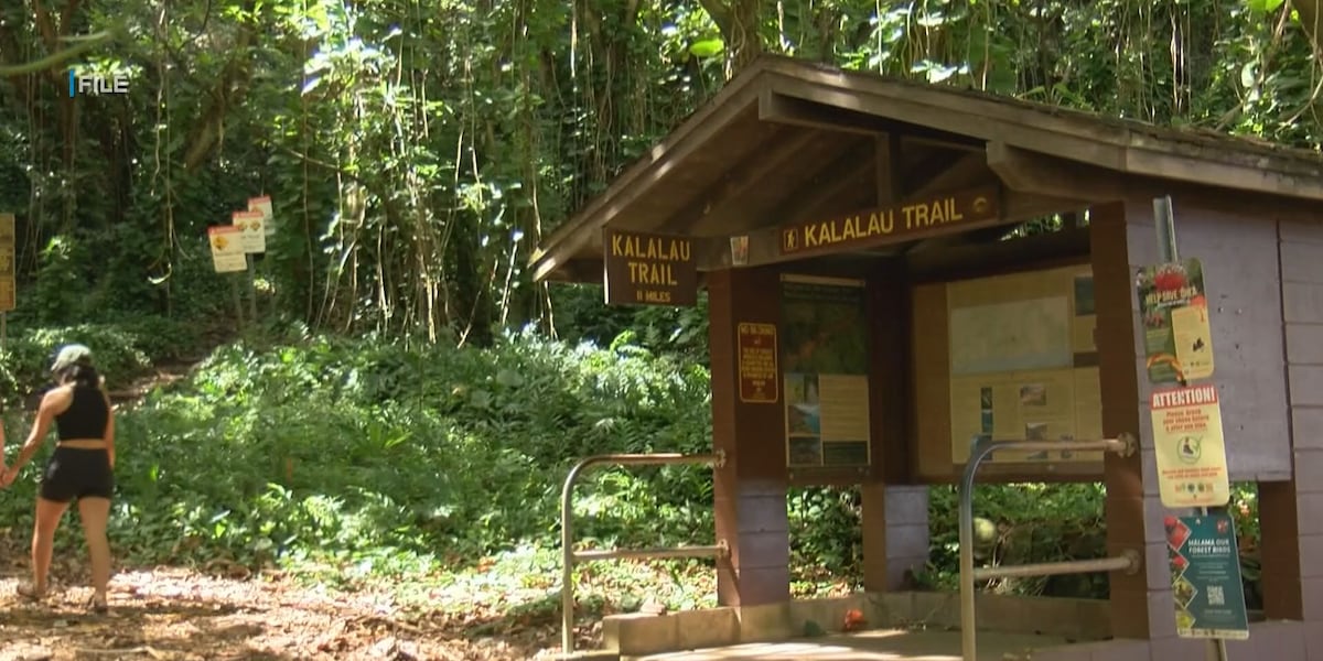 Rescuers race to air lift hiker to safety before nightfall on Kauai trail