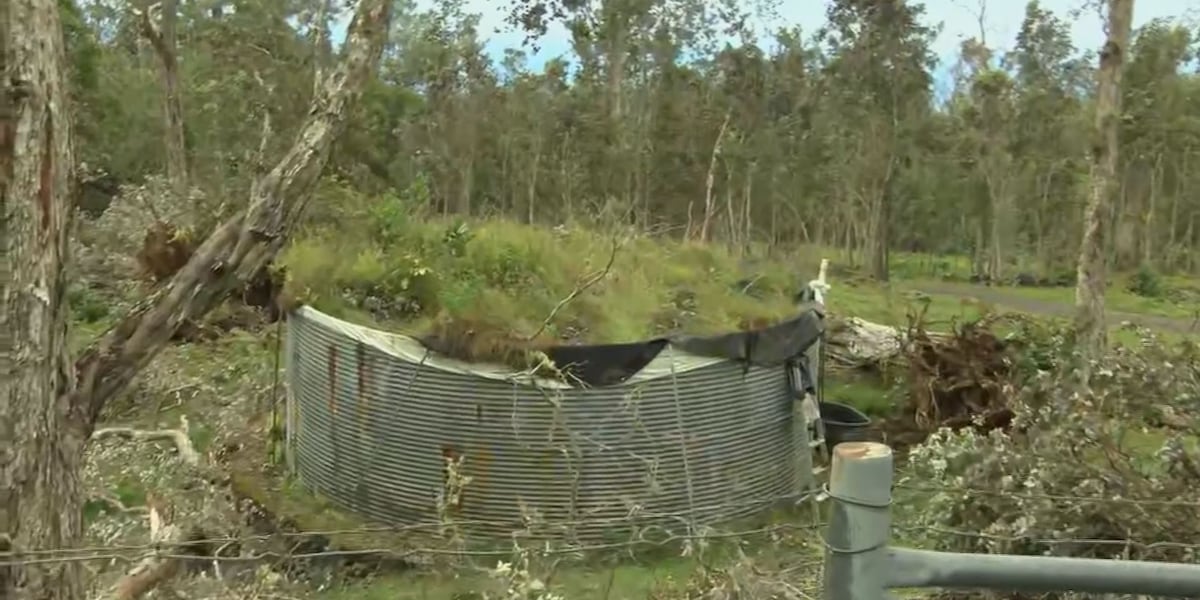 Water catchment damage, generator shortages challenge storm prep efforts in West Hawaii Many residents remain without power and are rushing to repair water catchment systems damaged by Hurricane Lala.