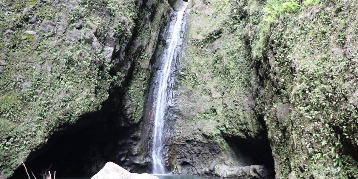 Tsunami watch live cam japan Tsunami watch live cam japan