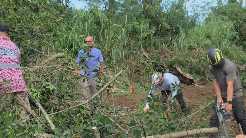 Volunteers joined a community-led effort to clear over a mile of mangroves along Ki'iki'i...