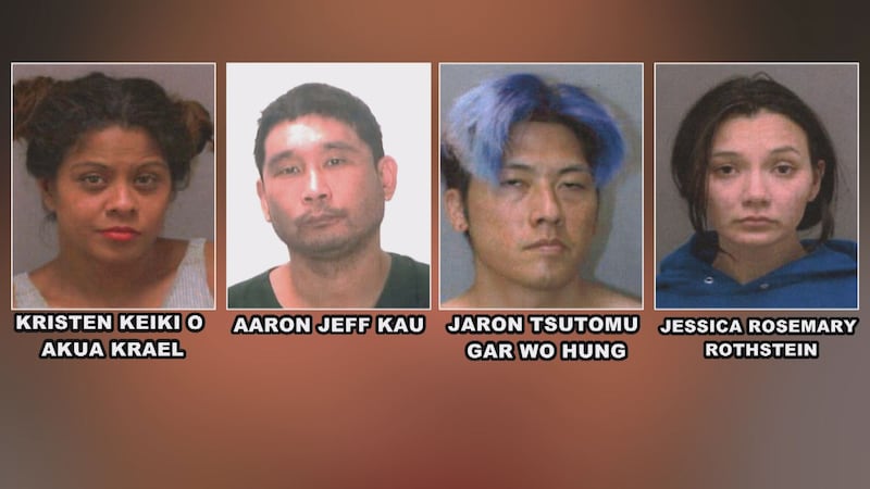 Prosecutors say Kristen Krael allegedly used companies' financial information to forge checks...