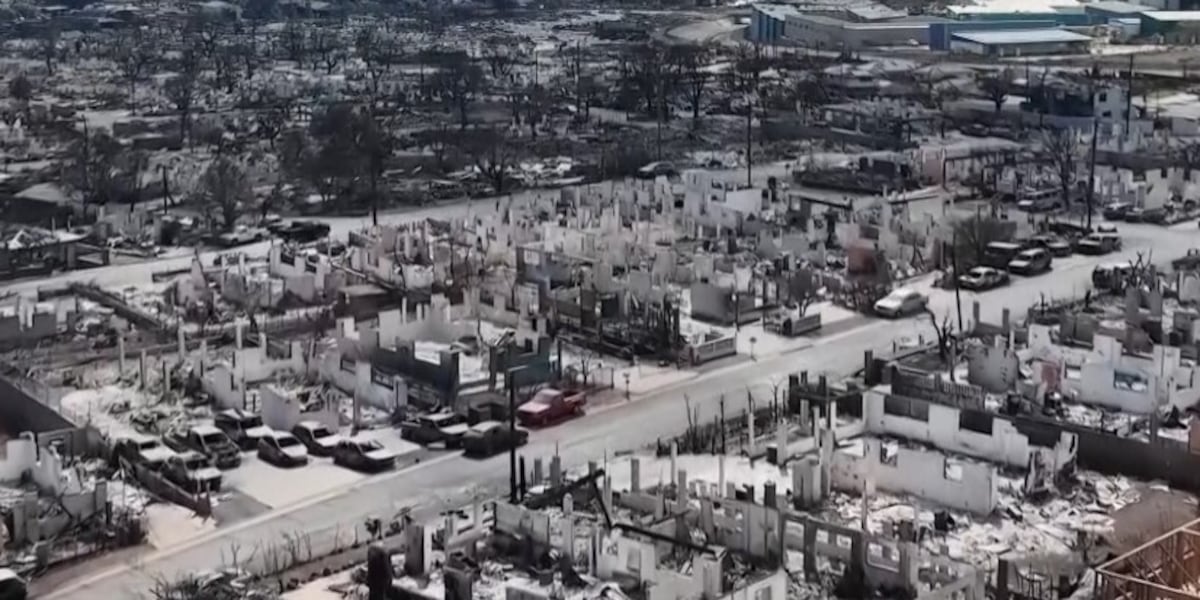 Personal fortunes of HECO board members at risk in wildfire lawsuits